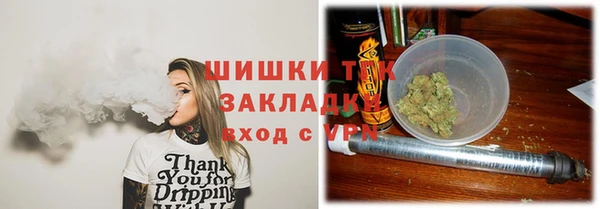 мдпв Верхний Тагил