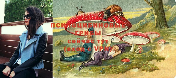стафф Володарск