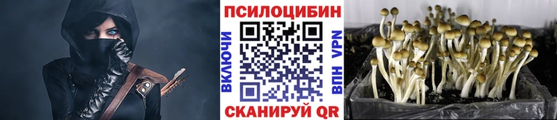 Галлюциногенные грибы ЛСД  Вяземский 